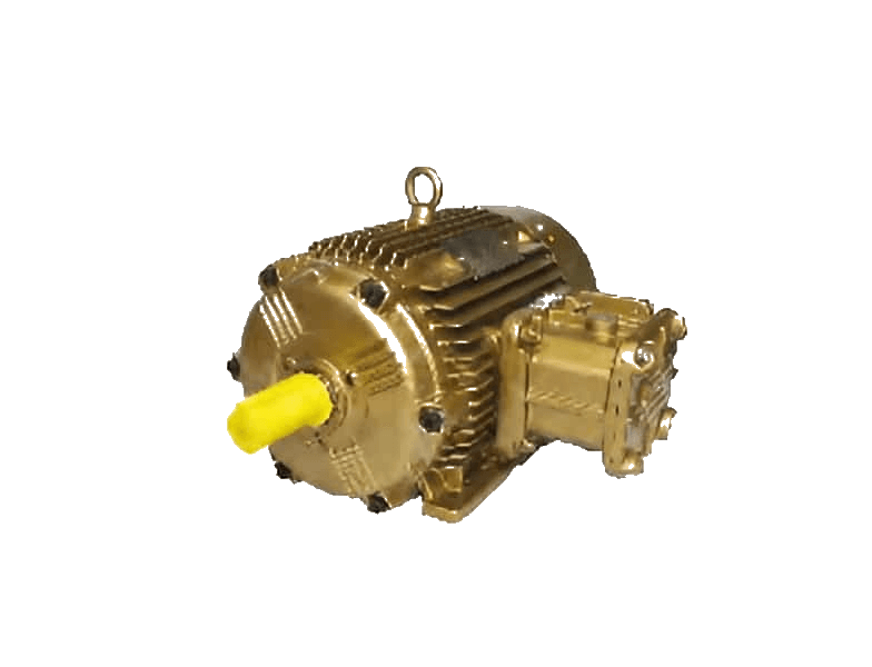 Flame Proof Motors